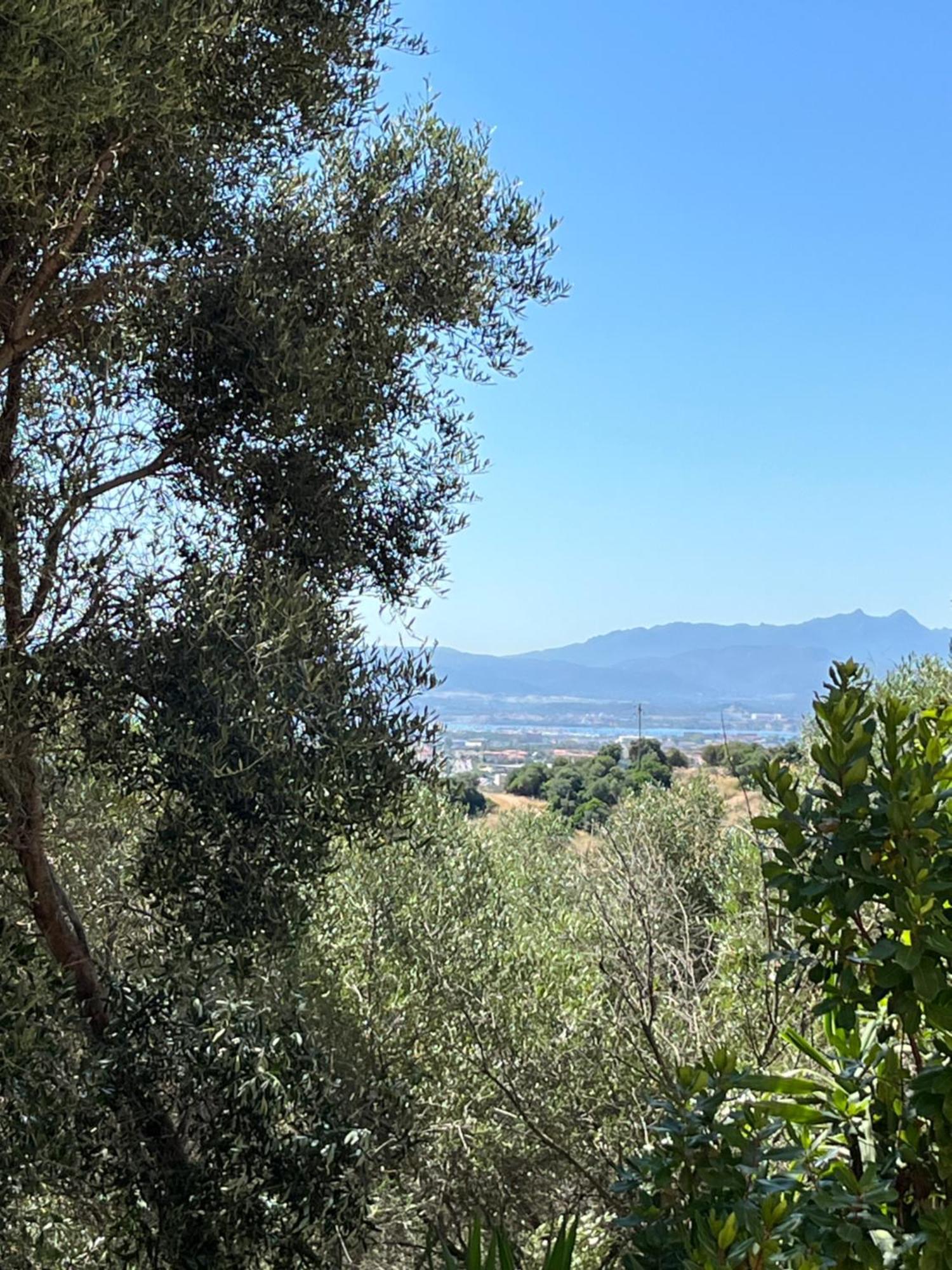 Venti Di Vacanza - Levante & Grecale Olbia Bagian luar foto